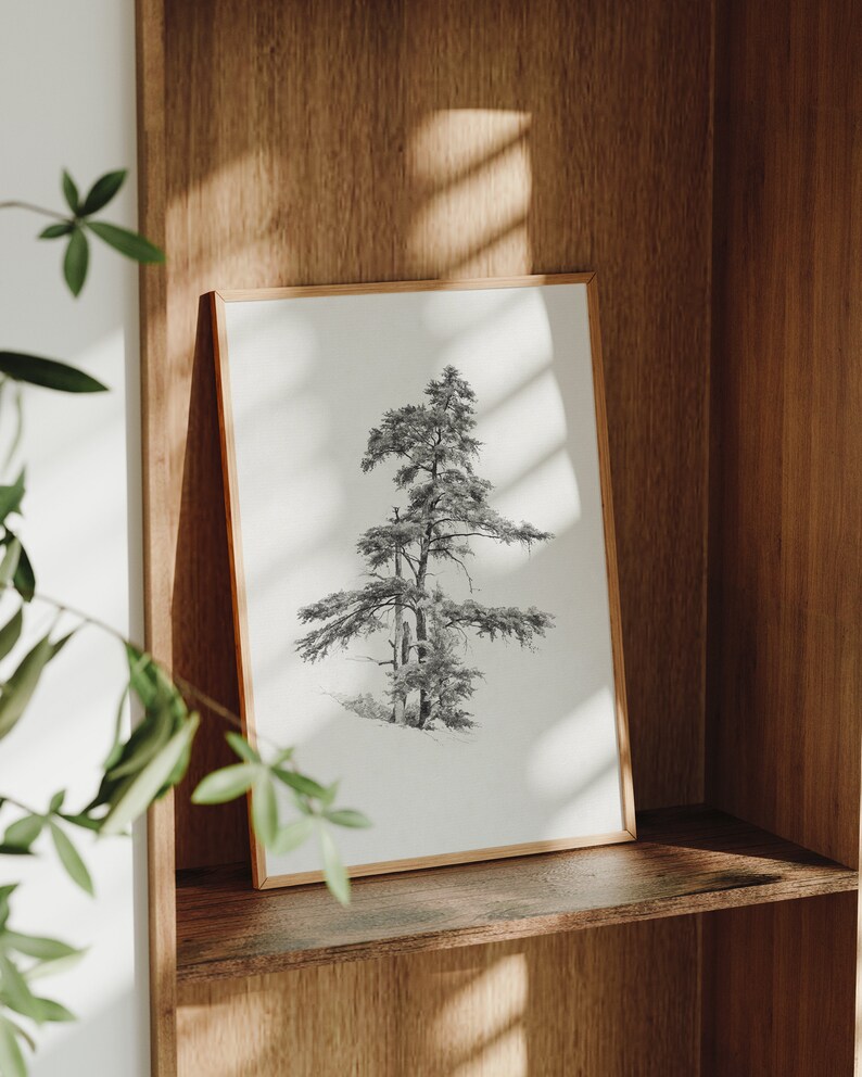 Vintage cedar tree charcoal drawing in black and white. Perfect for mountain lodge or forest cabin decor. Download, print, and frame!