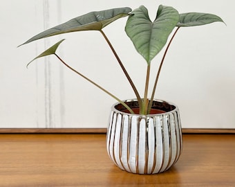 4" Ceramic Flower Planter, Ceramic Pot Planter, Indoor Ceramic Bowl, Houseplant Ceramic Pot, Decorative Planter for Indoor Plant Succulent