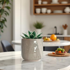 May include: A small, green succulent plant potted in a cylindrical, light gray ceramic planter with a textured, matte finish. The planter has a slightly irregular, hand-crafted appearance and sits on a white, marble-patterned circular table.