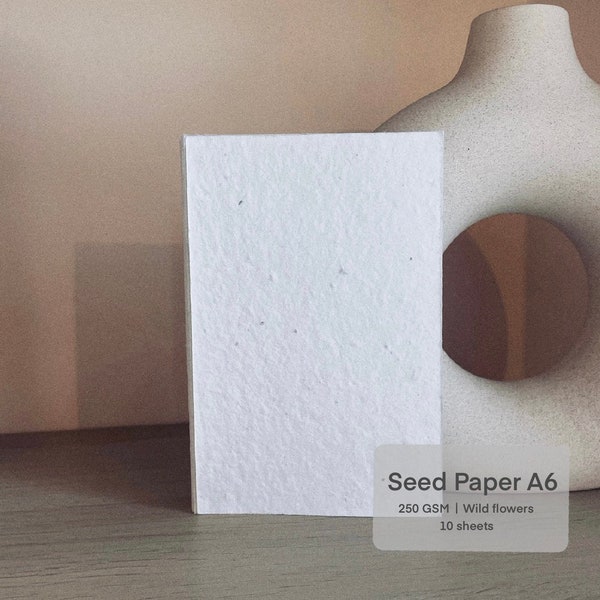 Plantable seed paper, Seeded paper, A6 , pack of 10, 250 GSM, Blank seeded paper.