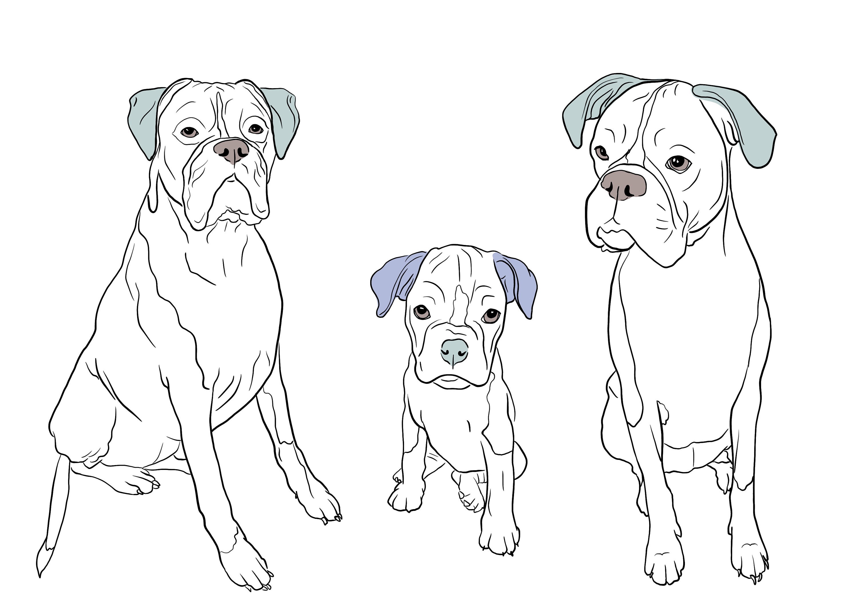 Pet Line Drawing Pet Illustration From Photo Pet - Etsy Canada