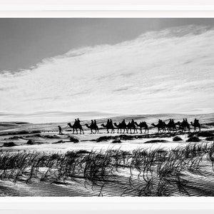 Black and White Desert Camel Wall Art Print DIGITAL DOWNLOAD Sand Dune Print Wall Decor Camel Print Download Desert Landscape Photography
