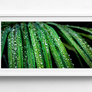 Samsung Frame TV Art Tropical Leaf Digital Download 16:9 Green TV Art with Raindrops TV Frame Landscape Photography The Frame tv Art