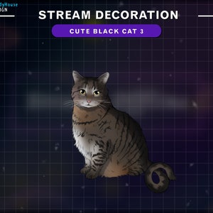 Animated Black Cat Stream Decoration, Black Cat Twitch Overlay, Animals Decorations Stream Add-on Kawaii Twitch Overlay