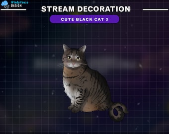 Animated Black Cat Stream Decoration, Black Cat Twitch Overlay, Animals Decorations Stream Add-on Kawaii Twitch Overlay