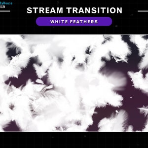 Peut inclure: Des plumes blanches tombant sur un fond violet foncé. Le texte "STREAM TRANSITION" et "WHITE FEATHERS" est visible en haut de l'image.