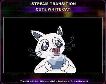 Animated White Cat Magic Potion Stream Transition, Witch Cat Twitch Stinger Overlay