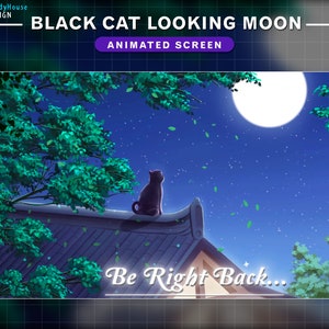 Animated Twitch Screens Black Cat Looking the Moon, Animated Stream Screens Lo-fi Cat on the Roof, Leaves Falling, Twinkle Star, Night Sky