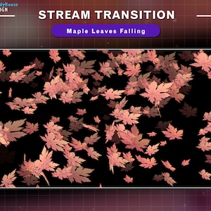 Animierte Stream Übergang Ahornblätter fallen, Herbst Twitch OBS Szenen Stinger, Twitch Übergang