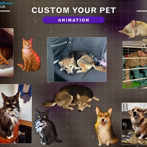 May include: A collage of images featuring various pets, including cats, dogs, and a chinchilla. The images are arranged in a grid pattern and each pet is depicted in a different pose. The text "CUSTOM YOUR PET ANIMATION" is displayed at the top of the collage.