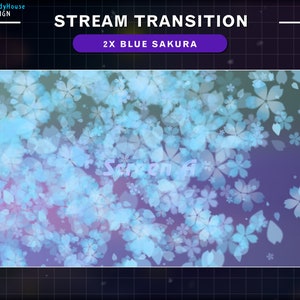 2x Blue Sakura Petals Stream Transition, Cherry Blossom Transition, Sakura explode, Twitch OBS Scenes Stinger, Twitch Transition