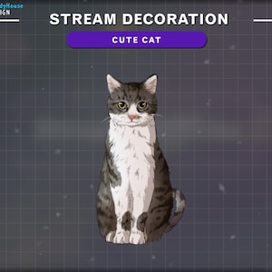 Animated Cute Cat Stream Decoration, Cat Twitch Overlay...