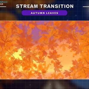 2x Animierter Stream Übergang Herbst Blätter, Ahorn Blätter Twitch OBS Szenen Stinger, Twitch Übergang