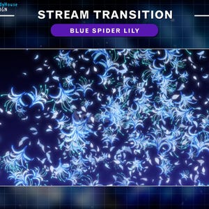 Könnte beinhalten: Digitalgrafik mit dem Text "STREAM TRANSITION" und "BLUE SPIDER LILY". Der Hintergrund ist dunkelblau mit einem Muster aus blauen und weißen Spinnenlilienblüten und -blättern.