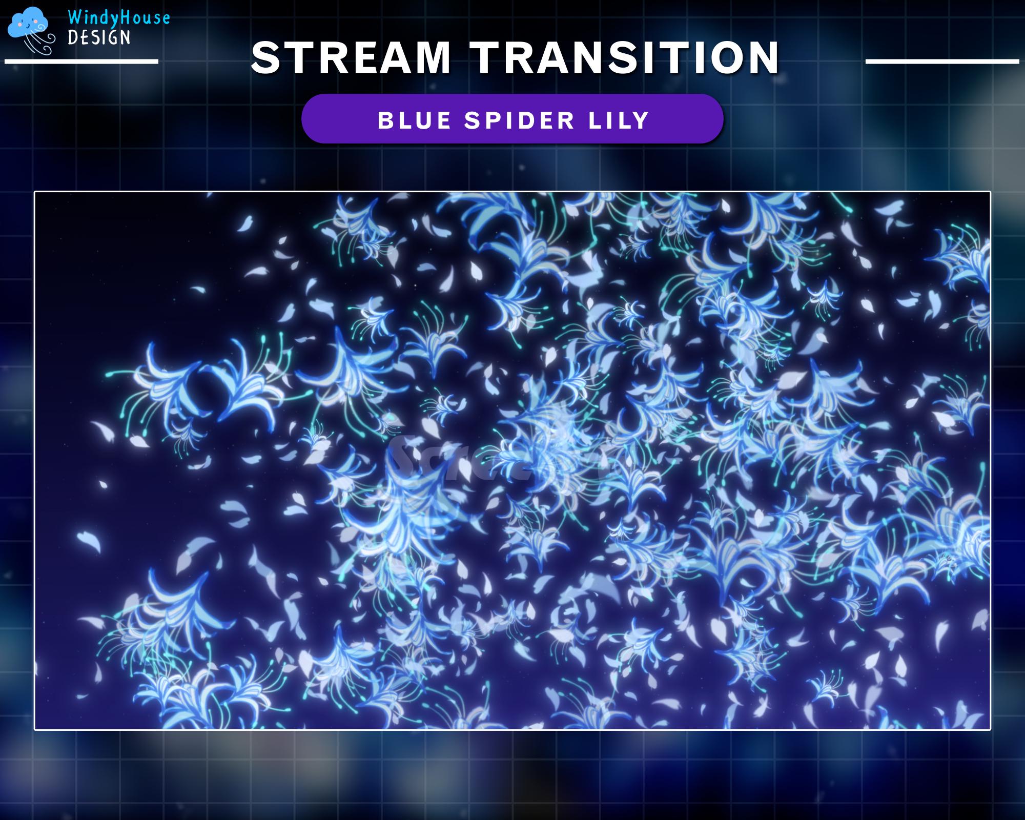 Geanimeerde stroom overgang: blauwe spinlelie, bloemblaadje twitch