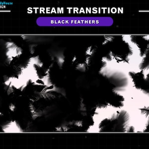 Könnte beinhalten: Schwarze Federn schweben und wirbeln auf einem weißen Hintergrund. Das Bild trägt den Titel "STREAM TRANSITION BLACK FEATHERS".