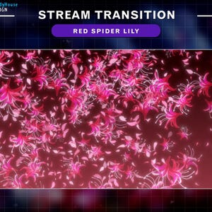Könnte beinhalten: Digitalgrafik mit einem Stream-Übergang mit einem dunkelroten Hintergrund und schwebenden rosa Red Spider Lily-Blüten. Der Text "STREAM TRANSITION" und "RED SPIDER LILY" sind in Weiß dargestellt.
