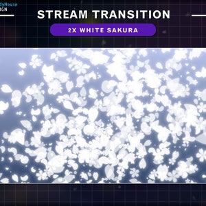 2x 白い桜の花びらのストリームトランジション、桜のトランジション、桜の爆発、Twitch OBS シーン スティンガー、Twitch トランジション