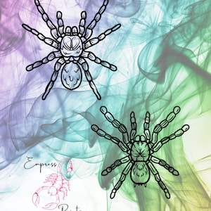 Tarantula SVG/PNG, Digital Download