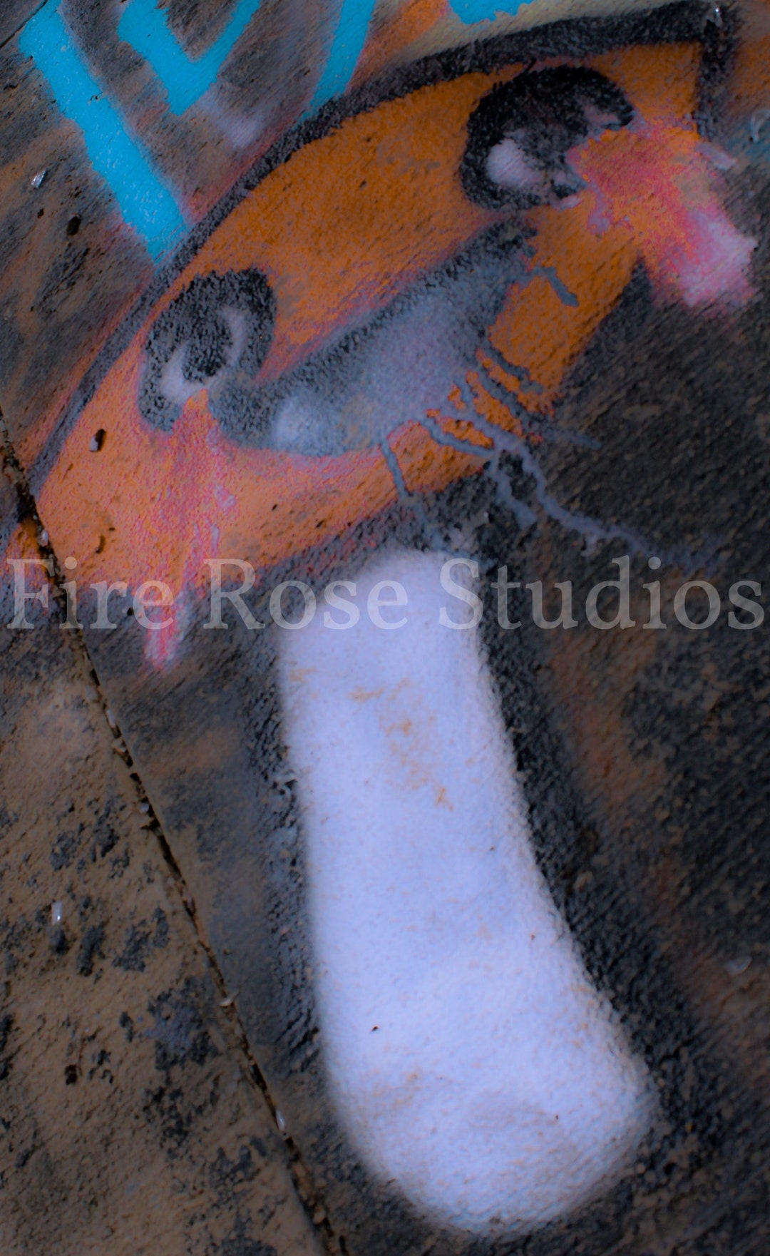 Mushroom Graffiti Art Photograph Digital Download Etsy