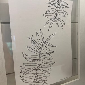 B&W Plant Duo