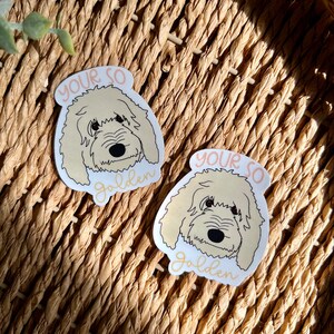 Uw zo gouden, Goldendoodle hond sticker, waterdichte sticker, doodle sticker, laptop sticker, waterfles sticker