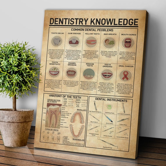 Dentistry Knowledge Poster Dentistry Canvas Dentist Gift Etsy