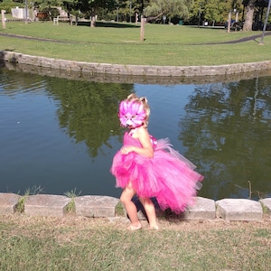 Girls flamingo costume dress (please read details)