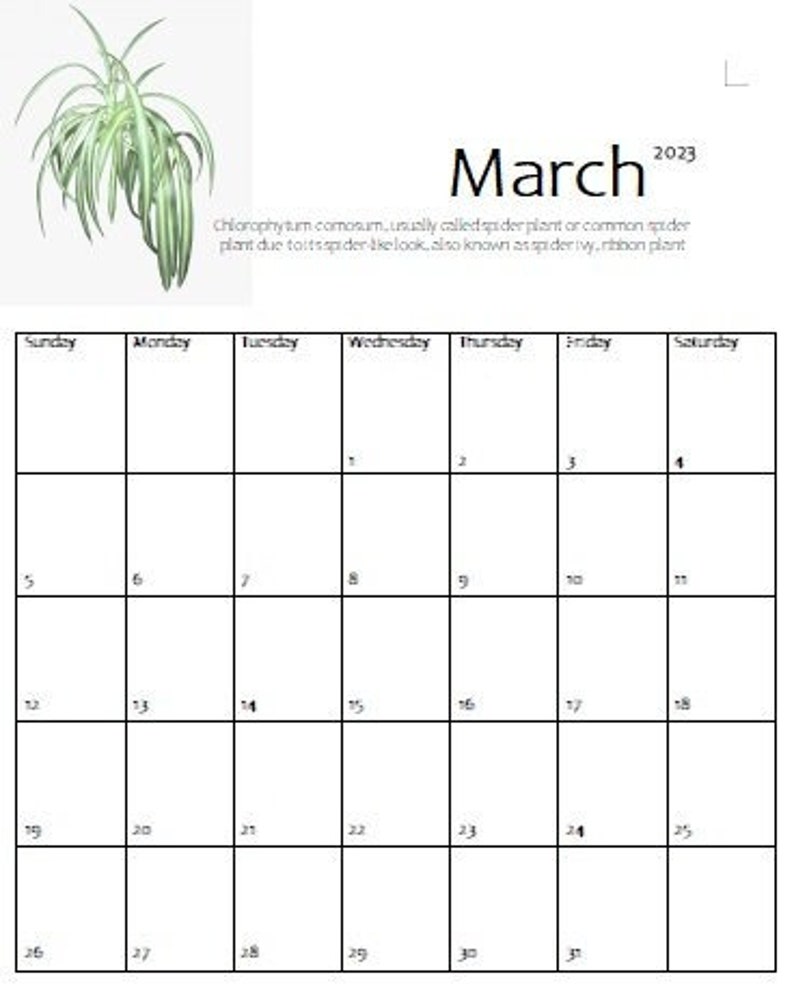 2023 Printable Calendar Flower - Etsy UK