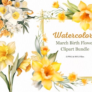 März Geburtsblume Clipart Bundle, Narzissenstrauß, Aquarell Narzisse Blumenrahmen, Aquarell Blumenkranz, Märzkranz, März Blume