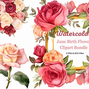 Paquete de imágenes prediseñadas de flores de nacimiento de junio: ramo de rosas, marco floral de rosas en acuarela, corona floral en acuarela, corona de junio, flor de junio