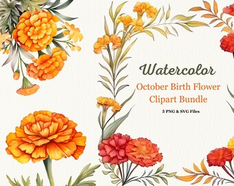 Watercolor Marigold Clipart Bundle, October Birth Flower (PNG, SVG)