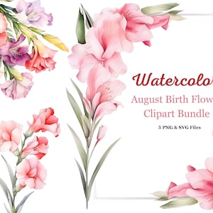 Paquete de imágenes prediseñadas de flores de nacimiento de agosto: ramo de gladiolos, marco de gladiolos en acuarela, corona floral en acuarela, corona de agosto, flor de agosto