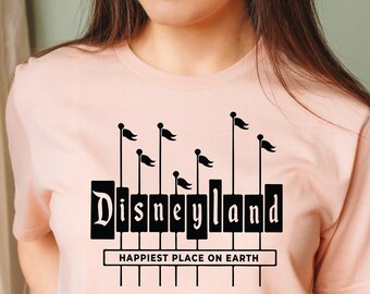 Camisetas familiares de Disneyland, camisetas familiares de Disneyland, camiseta de Disneyland, camiseta de viaje a Disney, camiseta de vacaciones de Disney 2026, camiseta de vacaciones de Disneyland