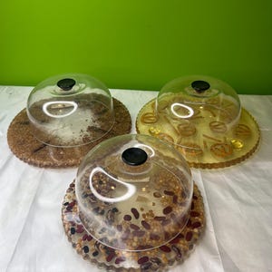 Könnte beinhalten: Drei dekorative Servierschalen mit transparenten Glaskuppeln und schwarzen Knöpfen. Die Böden sind rund und weisen verschiedene eingebettete Elemente auf, darunter Samen und Bohnen, in Braun-, Gelb- und Rottönen. Die Schalen stehen auf einer weißen Oberfläche.