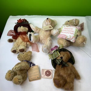 Pode incluir: Uma coleção de peluches Boyd's Bears em várias poses. Os ursos são em tons de castanho e bege, alguns usam chapéus e acessórios. Um urso tem uma etiqueta que diz "Friends bring a smile to your face and joy to your heart."
