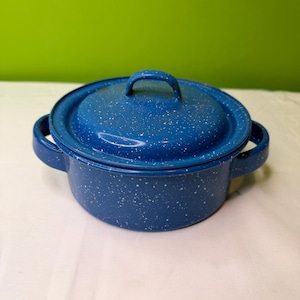 Może przedstawiać: Niebieski garnek emaliowany z pokrywką, z nakrapianym wzorem białych kropek. Posiada dwa boczne uchwyty i uchwyt na pokrywce. Garnek stoi na białej powierzchni z zielonym tłem.