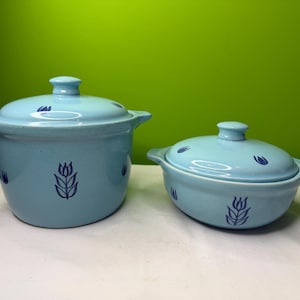 Op de afbeelding: Twee lichtblauwe keramische ovenschalen met deksels. Elke schaal heeft een handvat en is versierd met een donkerblauw bloemmotief. De schalen staan op een wit oppervlak met een groene achtergrond.