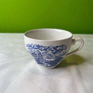 Vintage Royal Warwick Tea Cup Lochs Of Scotland made in England