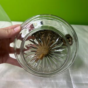 Puede incluir: Tarro de cristal transparente con un fondo decorativo y texturizado. El tarro es redondo con una abertura ancha y un interior visible. El tarro est&aacute; sostenido por una mano sobre un fondo verde.