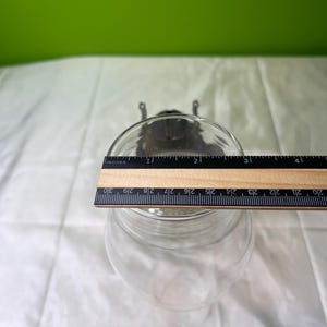 Puede incluir: Cuenco de vidrio transparente con asa de metal plateado. Una regla de madera se coloca sobre la parte superior del cuenco, midiendo aproximadamente 7,6 cm de ancho. El fondo es una superficie blanca con un fondo verde.