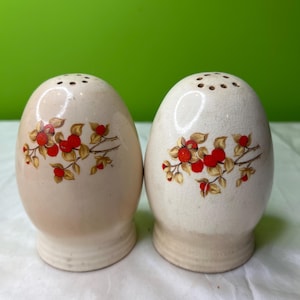 May include: A pair of vintage ceramic salt and pepper shakers. The egg-shaped shakers are off-white with a floral design of red berries and brown leaves. Each shaker has a series of holes at the top for dispensing.