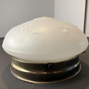 Vintage Frosted glass globe brass color base ceiling light fixture