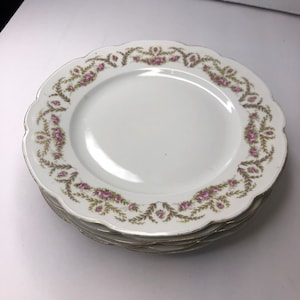 Vintage Austria Habsburg-China Porcelain dinner plate beautiful roses pattern