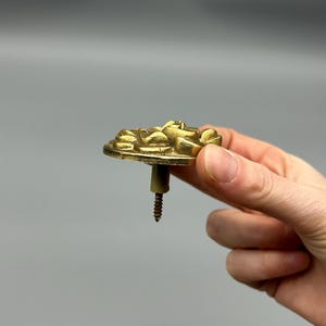 May include: A brass-colored, decorative furniture knob with a floral design. The knob has a screw for attachment and is held against a gray background.