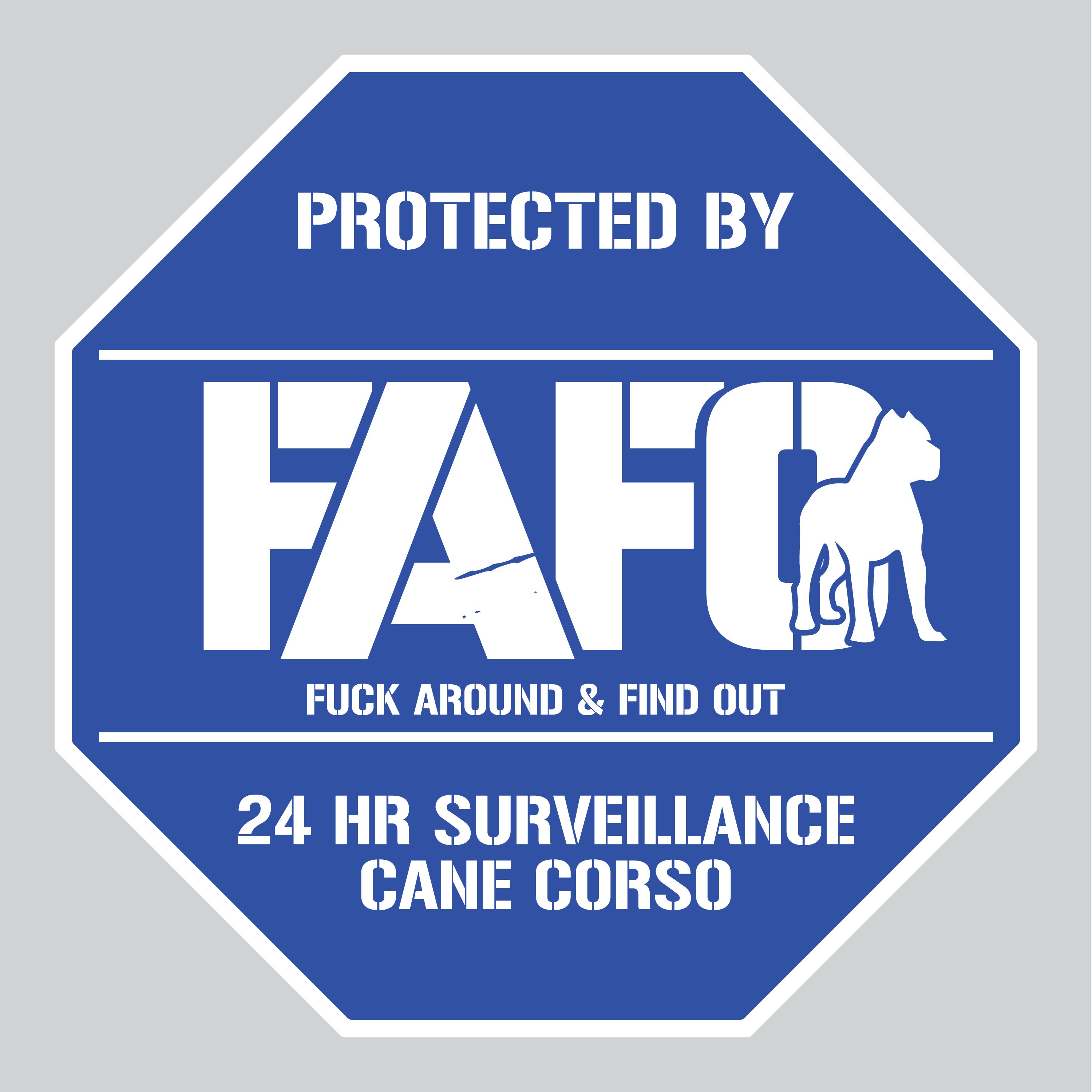 FAFO Home Security Yard Sign | F*** Around and Find Out | Cane