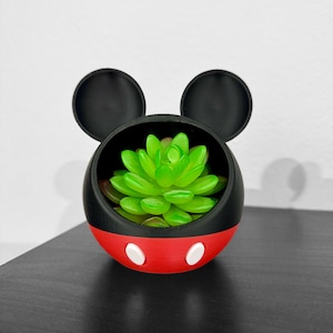 May include: A black, red, and white planter shaped like Mickey Mouse's head, with two black ears and a red base. The planter contains a vibrant green succulent plant. The planter is on a black surface.