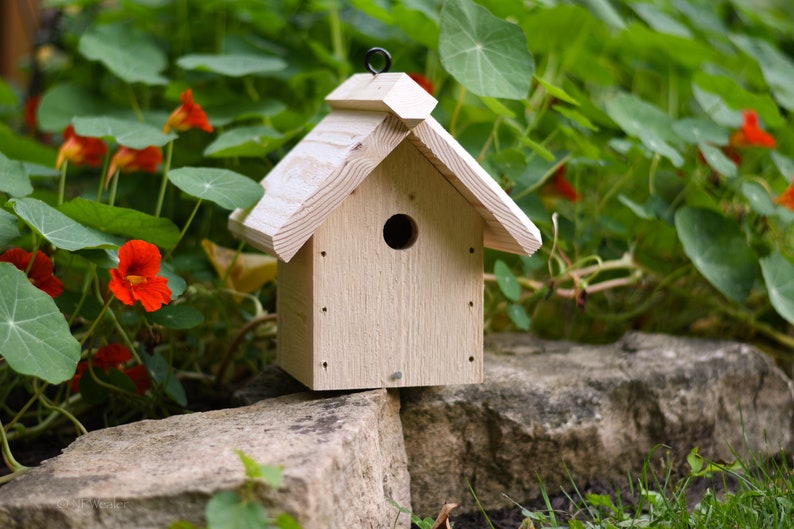 Hanging House Wren Nesting Box Cedar or Pine Etsy