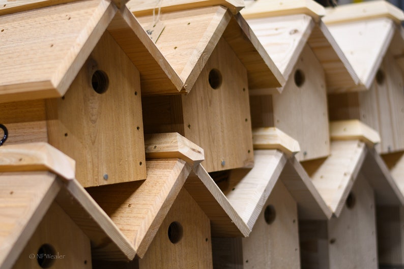 Hanging House Wren Nesting Box Cedar or Pine Etsy