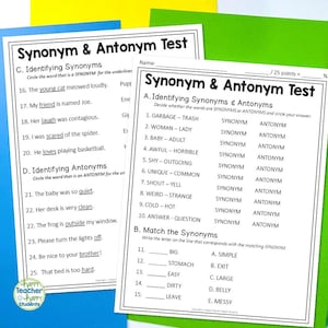 Synonym and Antonym Test | 2 Page Synonyms and Antonyms Quiz with Answer Key